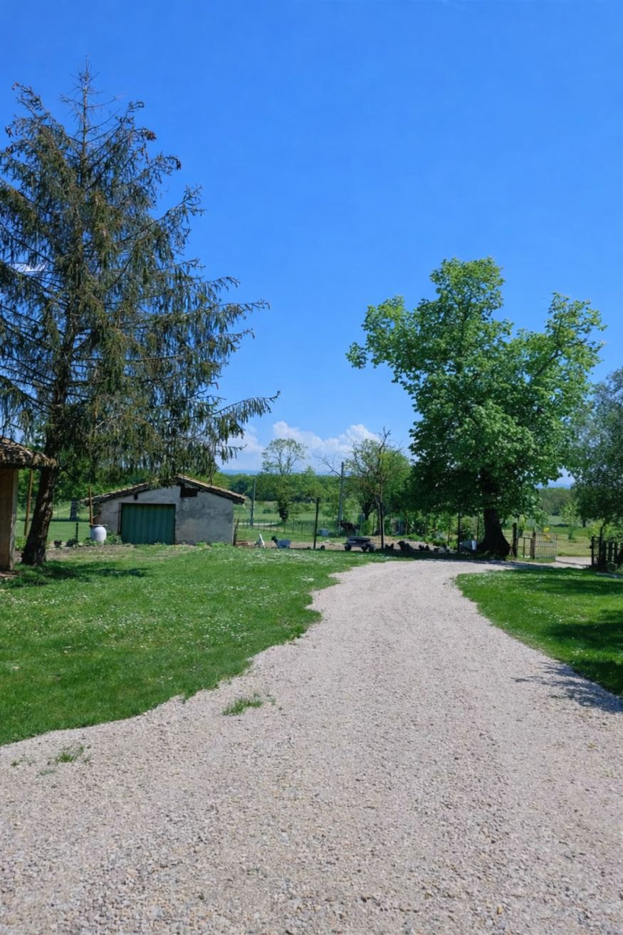 Allée de la ferme avec animaux dans les prés – Gîte Les Pétillières