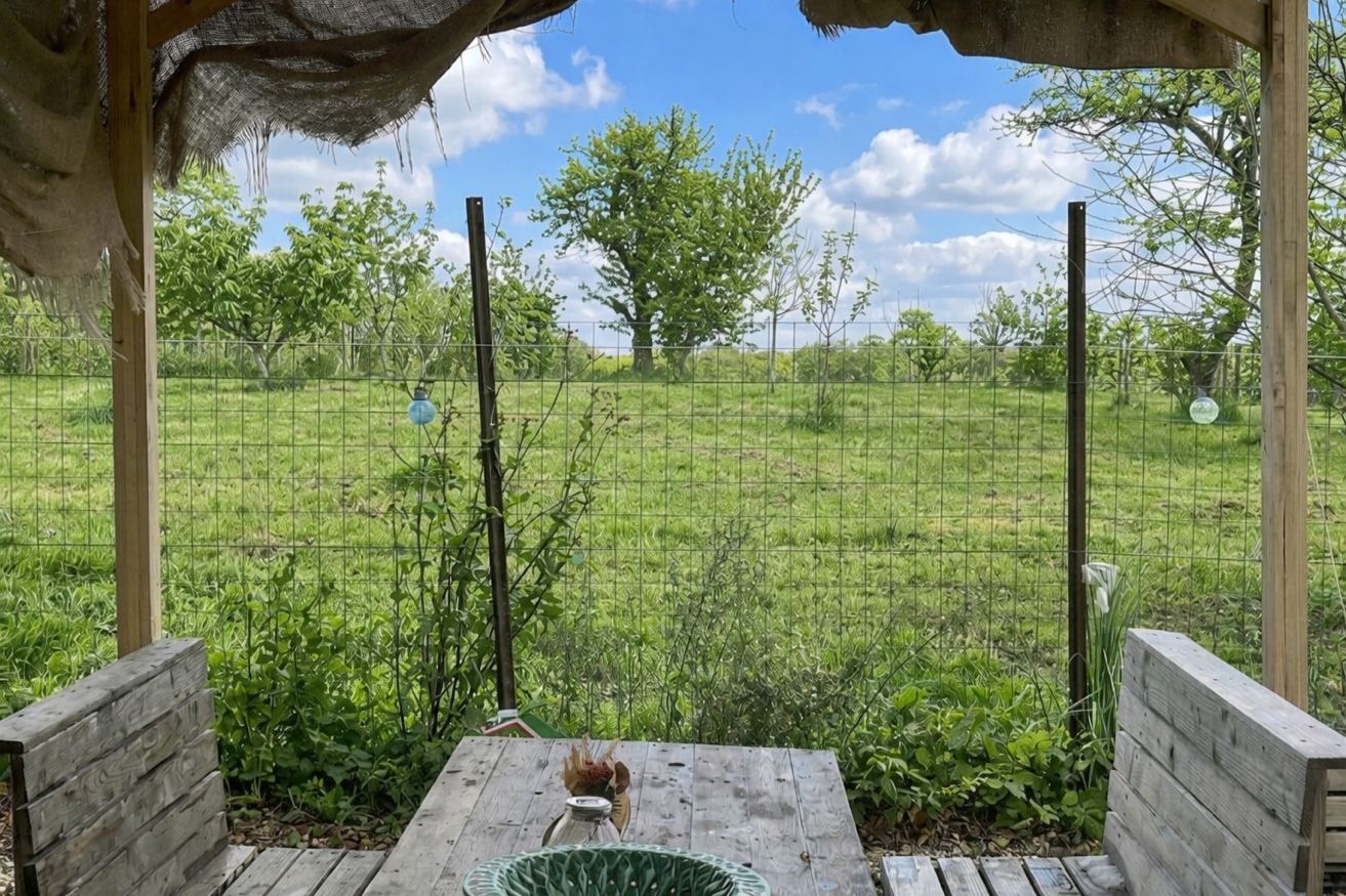 Pergola vue sur le pré – Gîte Les Pétillières